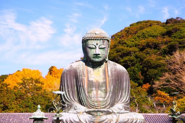 鎌倉の紅葉2026|見頃は11月下旬〜12月上旬、円覚寺は12月から16時まで