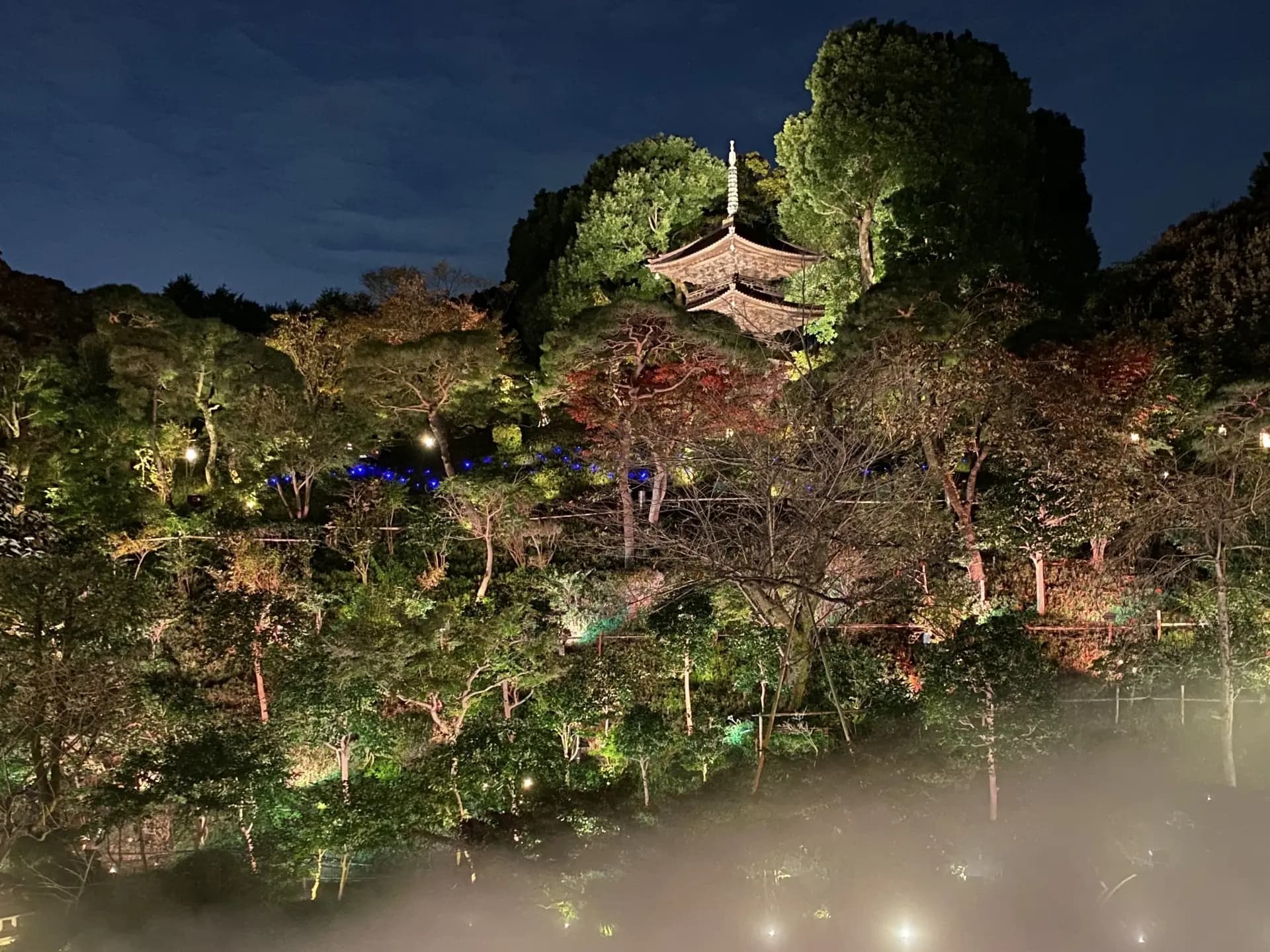 椿山荘のホタル2026|都心の庭園で楽しむ蛍狩り 見頃・観賞時間・料金ガイド