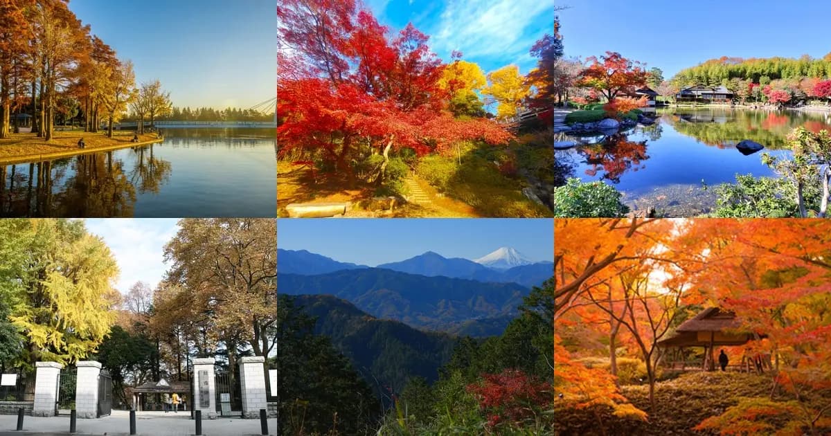 東京の紅葉2026|見頃は11月最終週、閉園16時30分のスポットも
