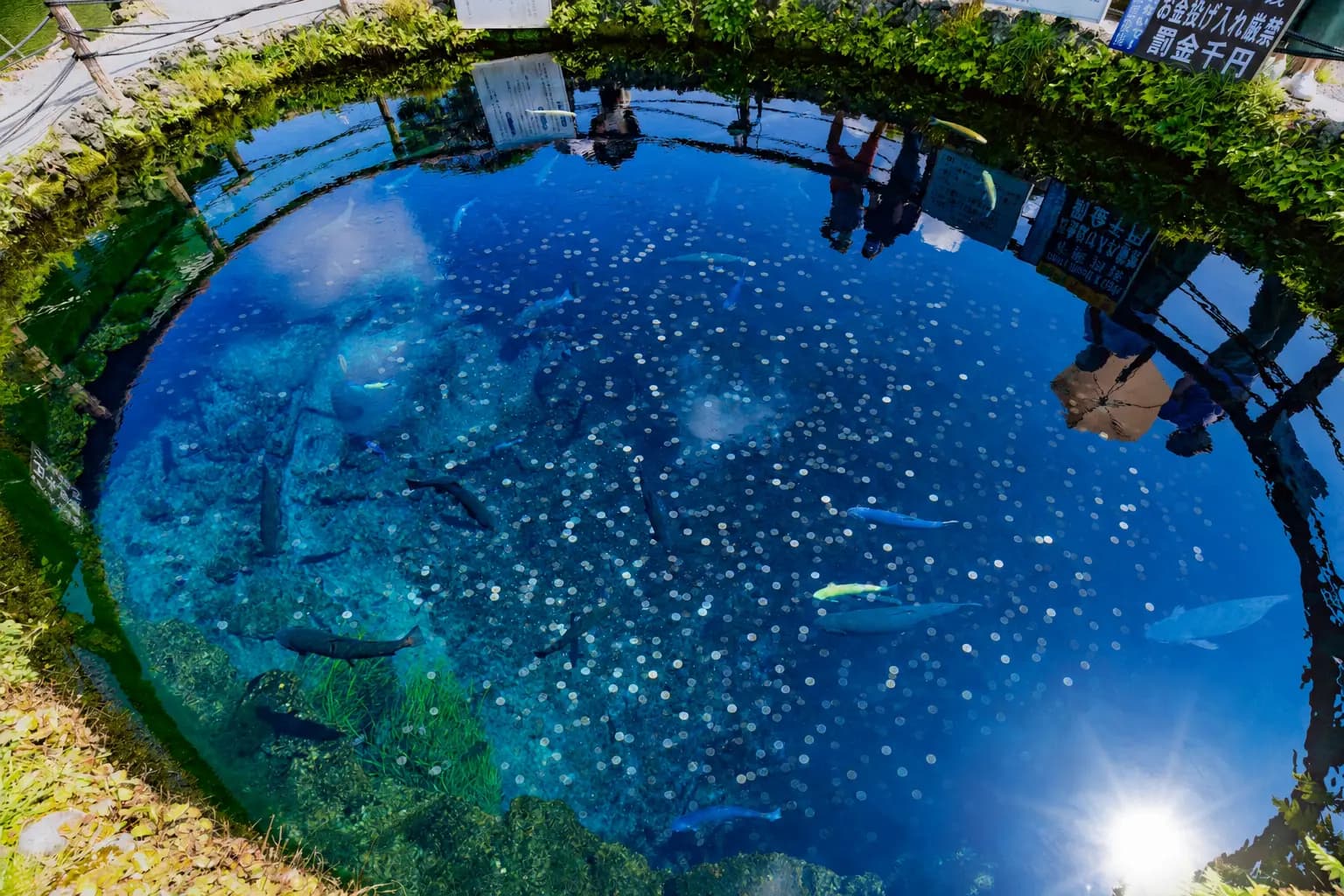 池に硬貨を投げないで—日本の観光地で広がるコイン投げ入れ問題