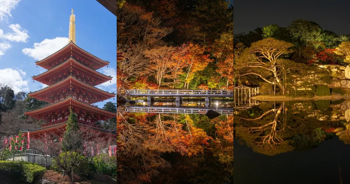 東京の紅葉ライトアップ2026|小石川後楽園11月13日〜・六義園11月25日〜、前売と料金