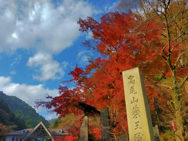 高尾山の紅葉2026|見頃・ケーブルカーの待ち時間・夜の紅葉は特定日だけ
