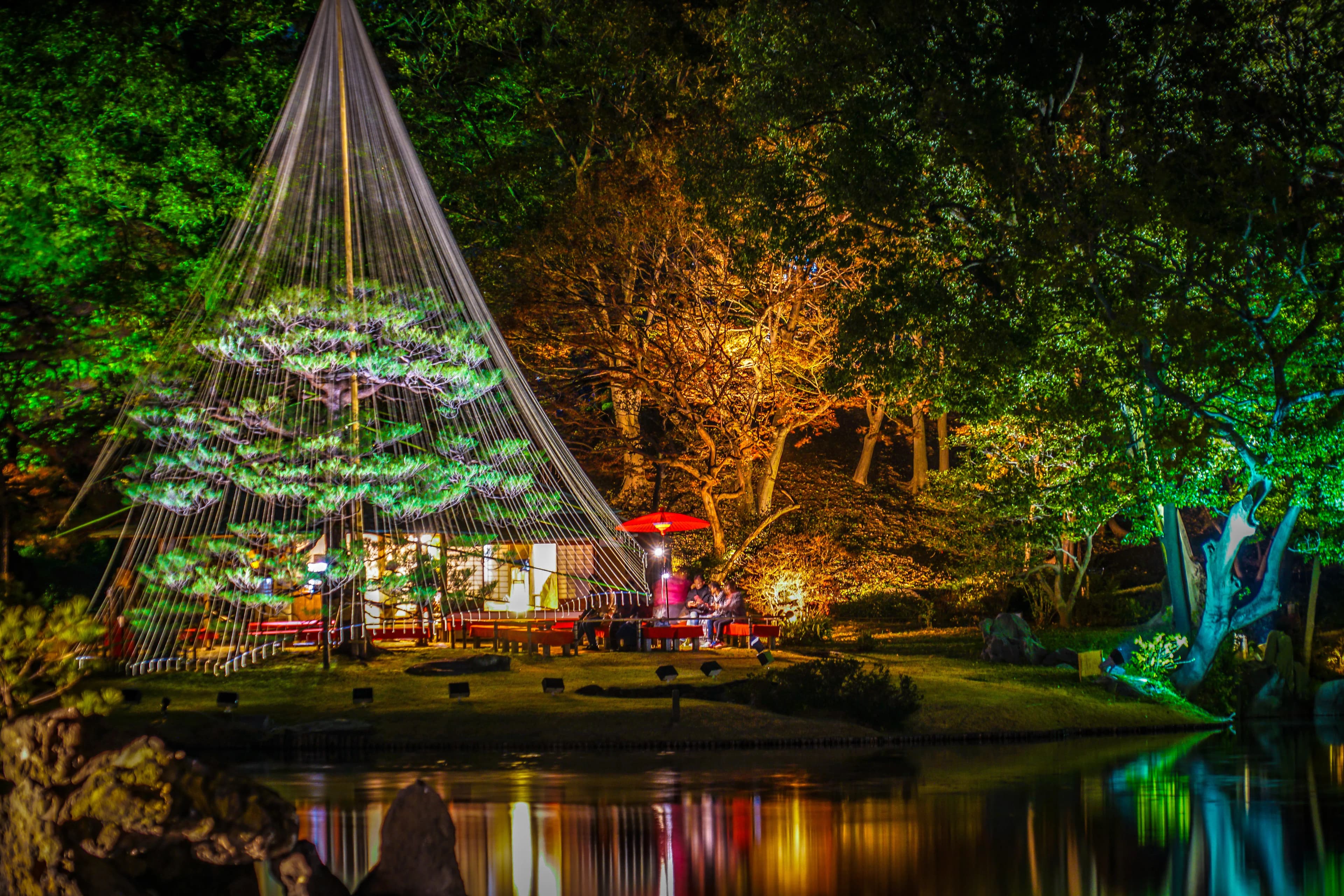 六義園の紅葉ライトアップ2026|11月25日〜12月6日、前売1,000円・当日1,200円