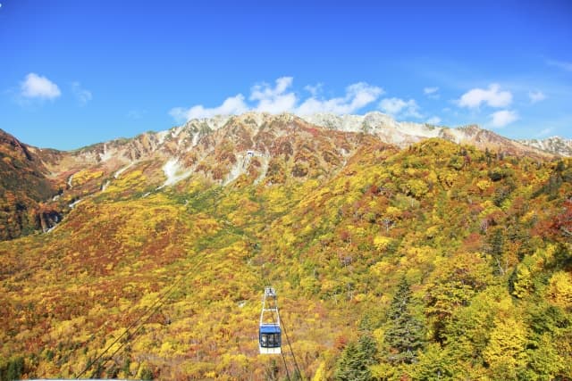 立山黒部アルペンルートの紅葉2026|標高別の見頃・WEBきっぷ予約・室堂の服装
