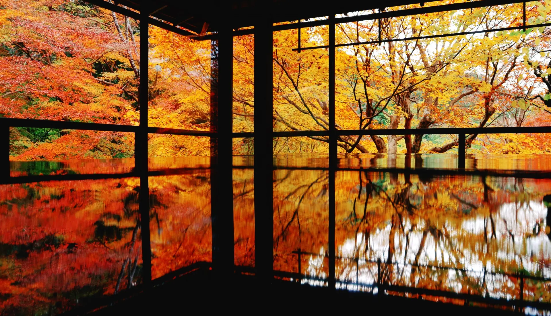 瑠璃光院の紅葉2026|予約が必要なのは11月13日〜12月6日、拝観料2,000円