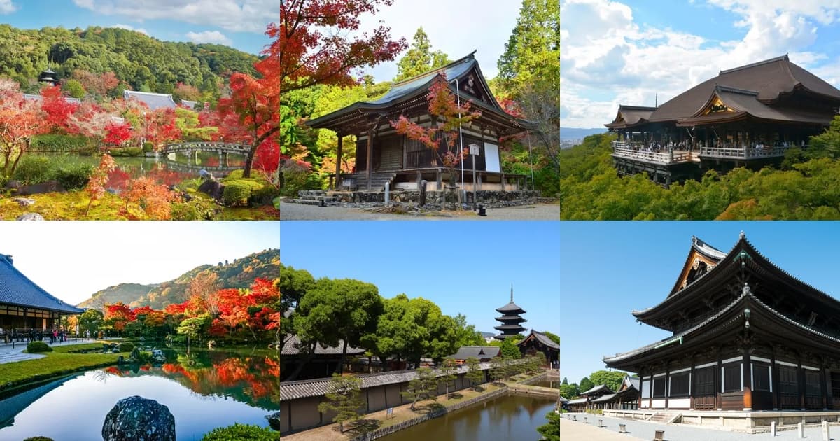 京都の紅葉2026|見頃は11月中旬〜下旬、夜間拝観は高台寺10月23日から