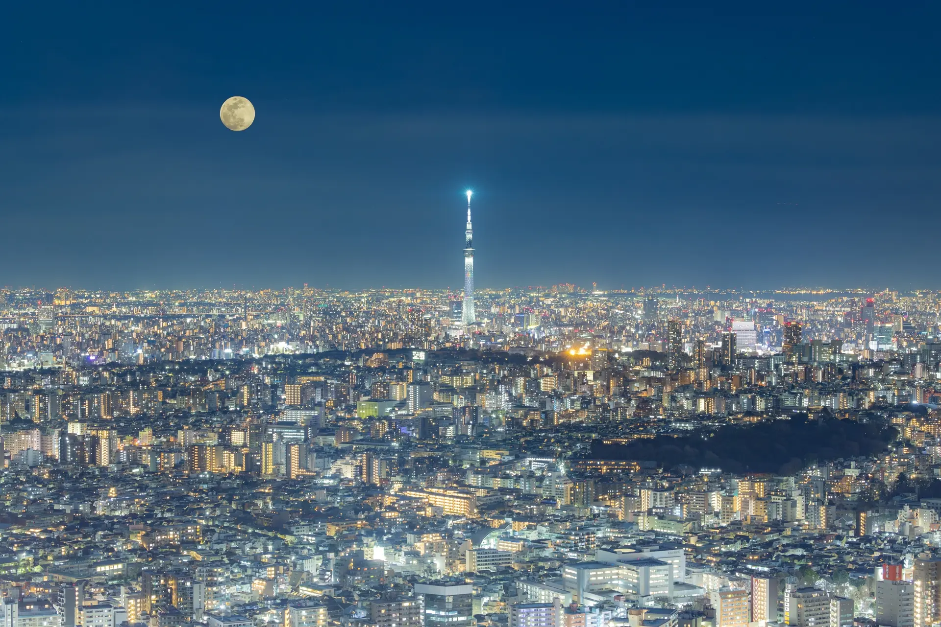 東京スカイツリー周辺のおすすめホテル6選|押上・錦糸町・浅草から眺め・立地・価格で選ぶ