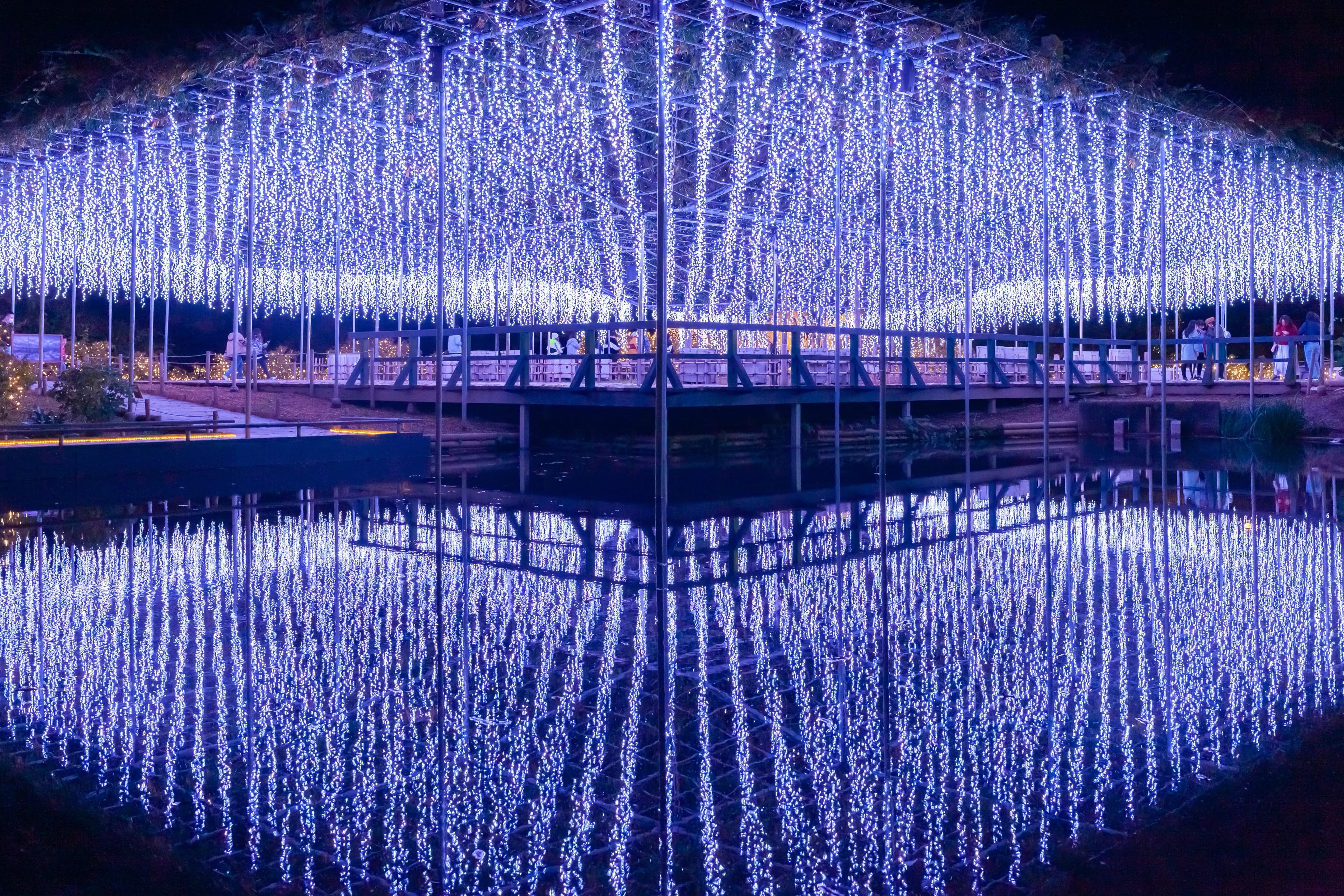 Ashikaga Flower Park Illumination 2026-2027: Opens October 17, Hours, Tickets & Access from Tokyo