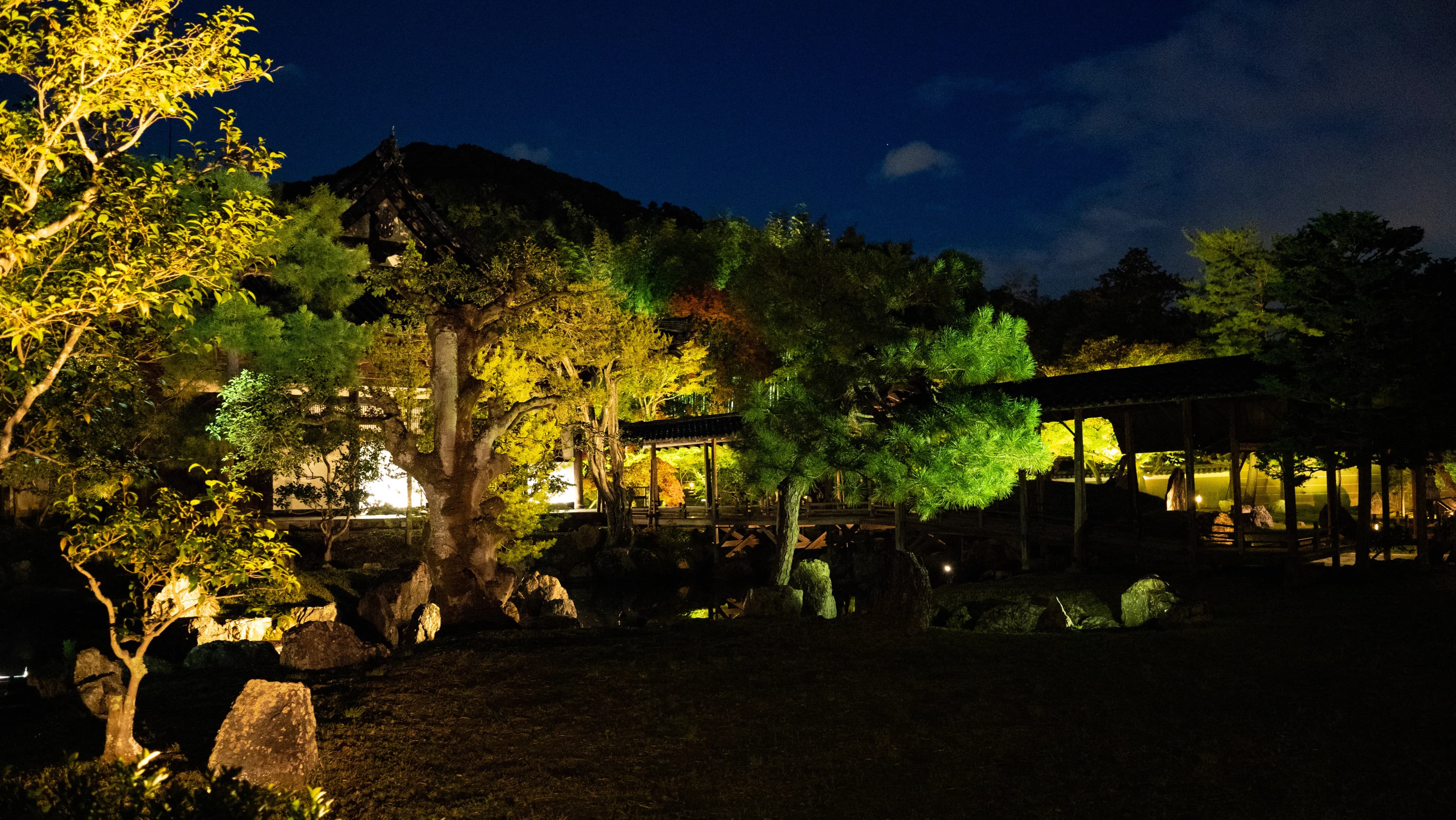 高台寺の紅葉ライトアップ2026|夜間特別拝観は10月23日から、拝観料800円・22時閉門
