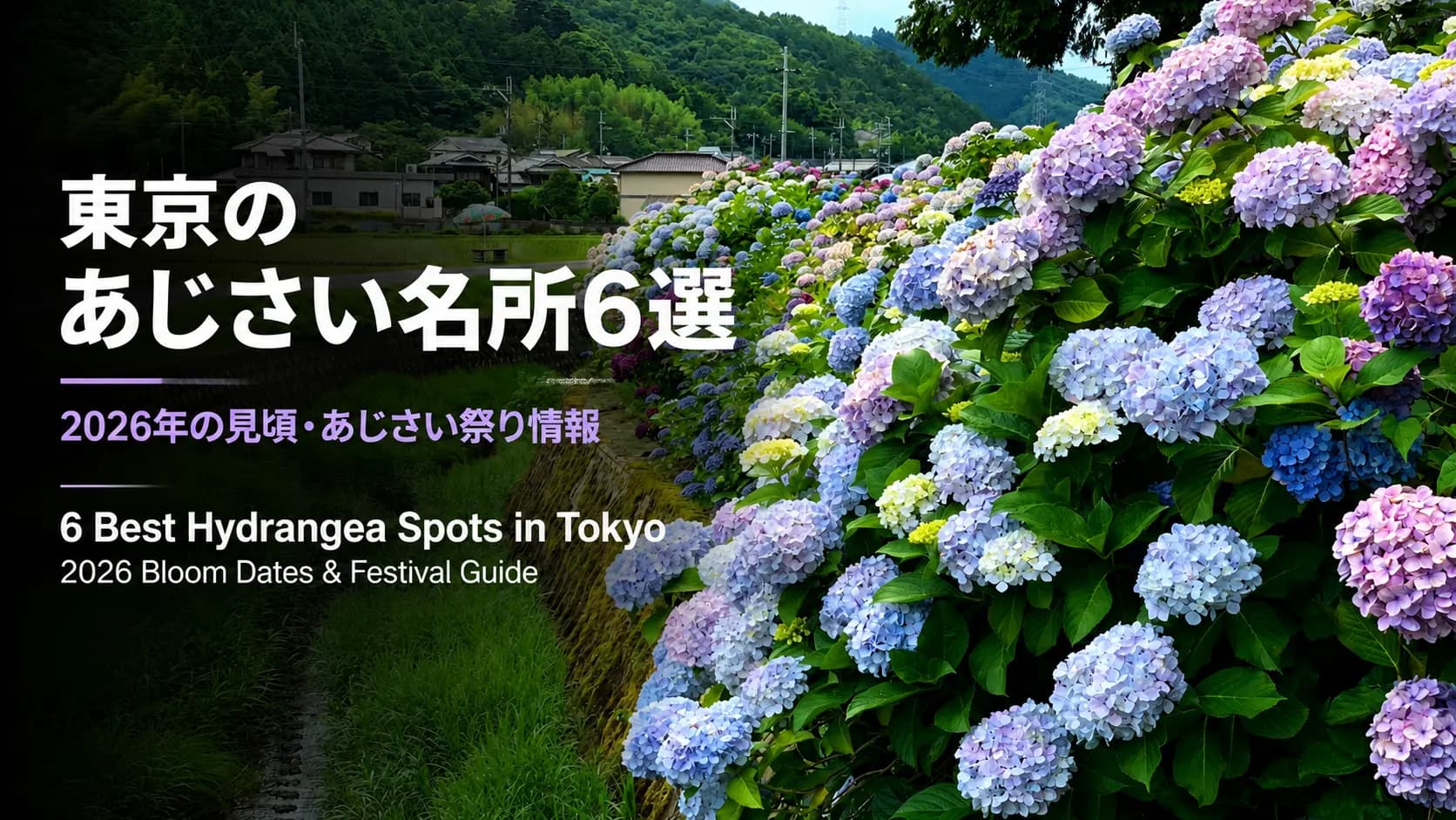 東京のあじさい名所6選|2026年の見頃・あじさい祭り情報まとめ