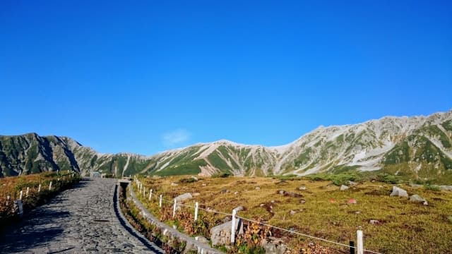 立山黒部アルペンルート 東京からの行き方2026|富山側・長野側の所要時間と運賃