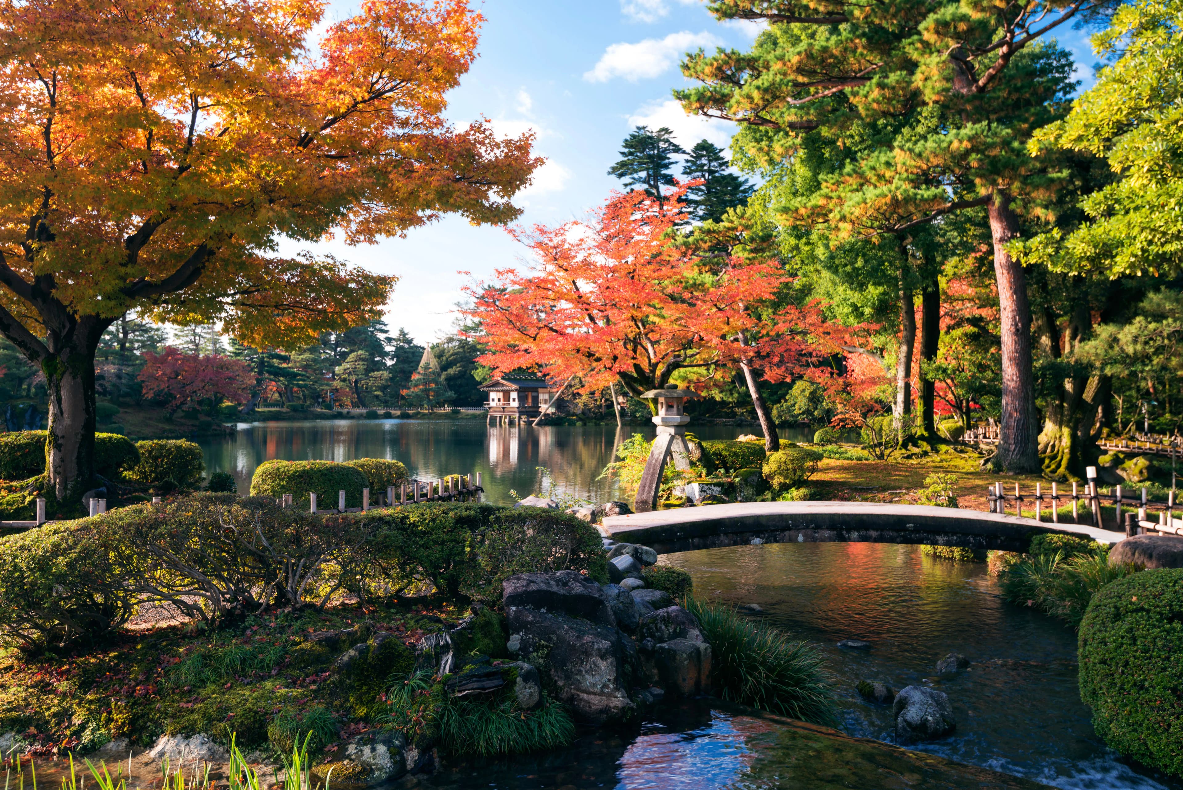 兼六園の紅葉2026|見頃は11月、ライトアップは土日7日だけ・夜間は入園無料