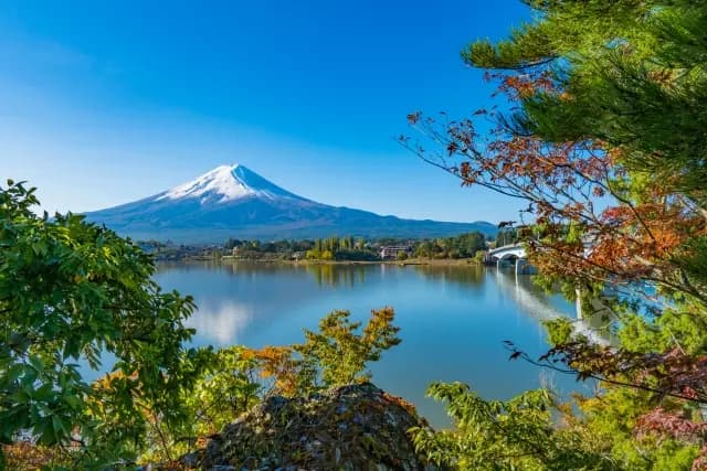 河口湖の紅葉2026|もみじ回廊の見頃・入場無料と駅からの行き方