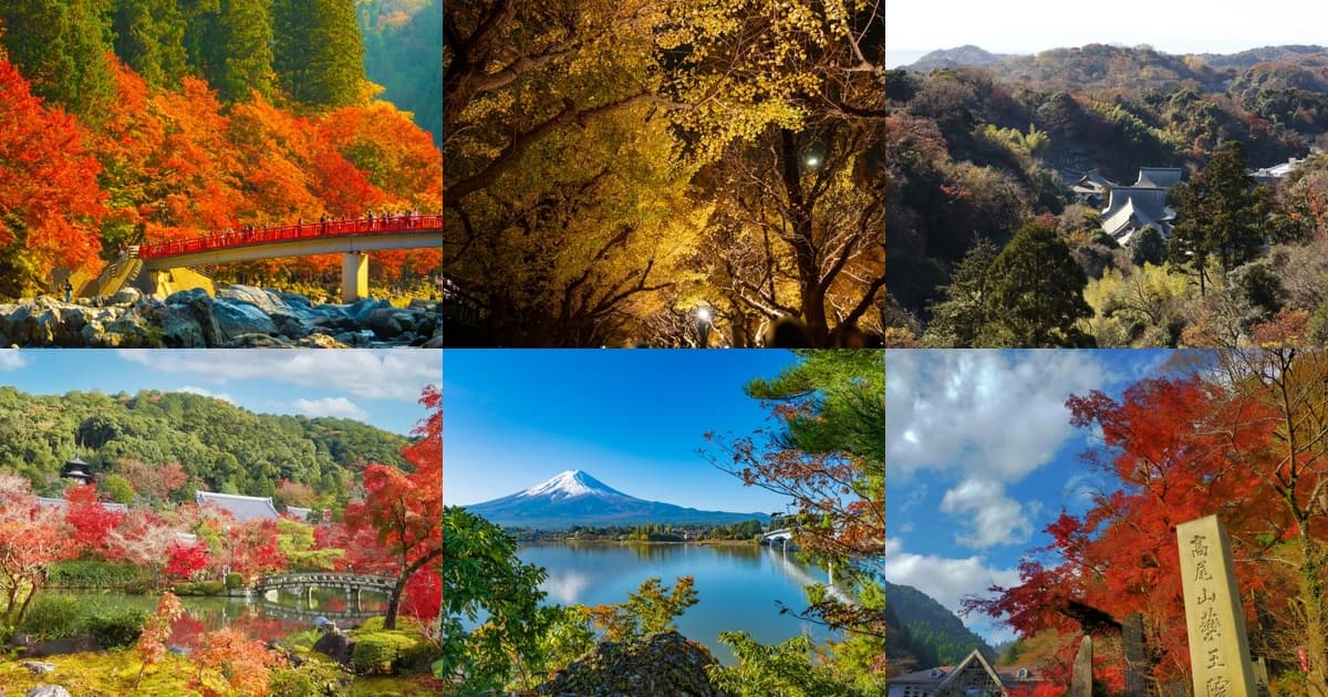 日本の紅葉2026|見頃カレンダーとエリア別・名所8選