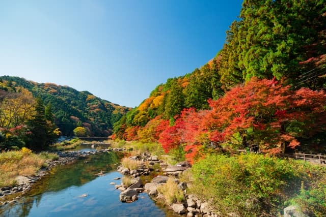 香嵐渓の紅葉2026|見頃は11月中旬〜下旬、散策無料と週末の渋滞回避