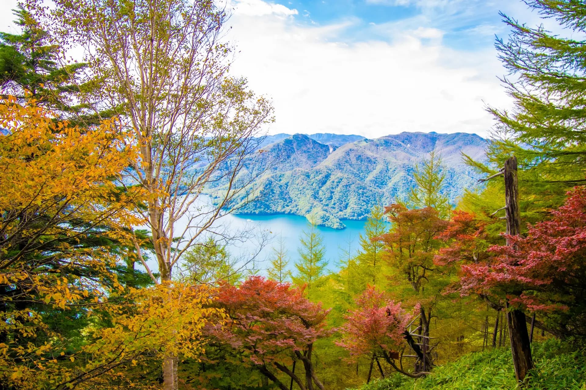 日光の紅葉2026|いろは坂・中禅寺湖の見頃と、渋滞を避ける回り方