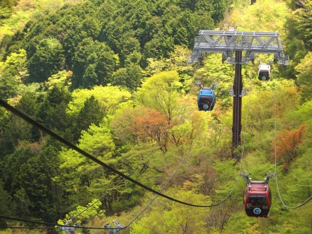 箱根の紅葉2026|見頃は標高で1か月ずれる。大涌谷の運行とフリーパスの損得