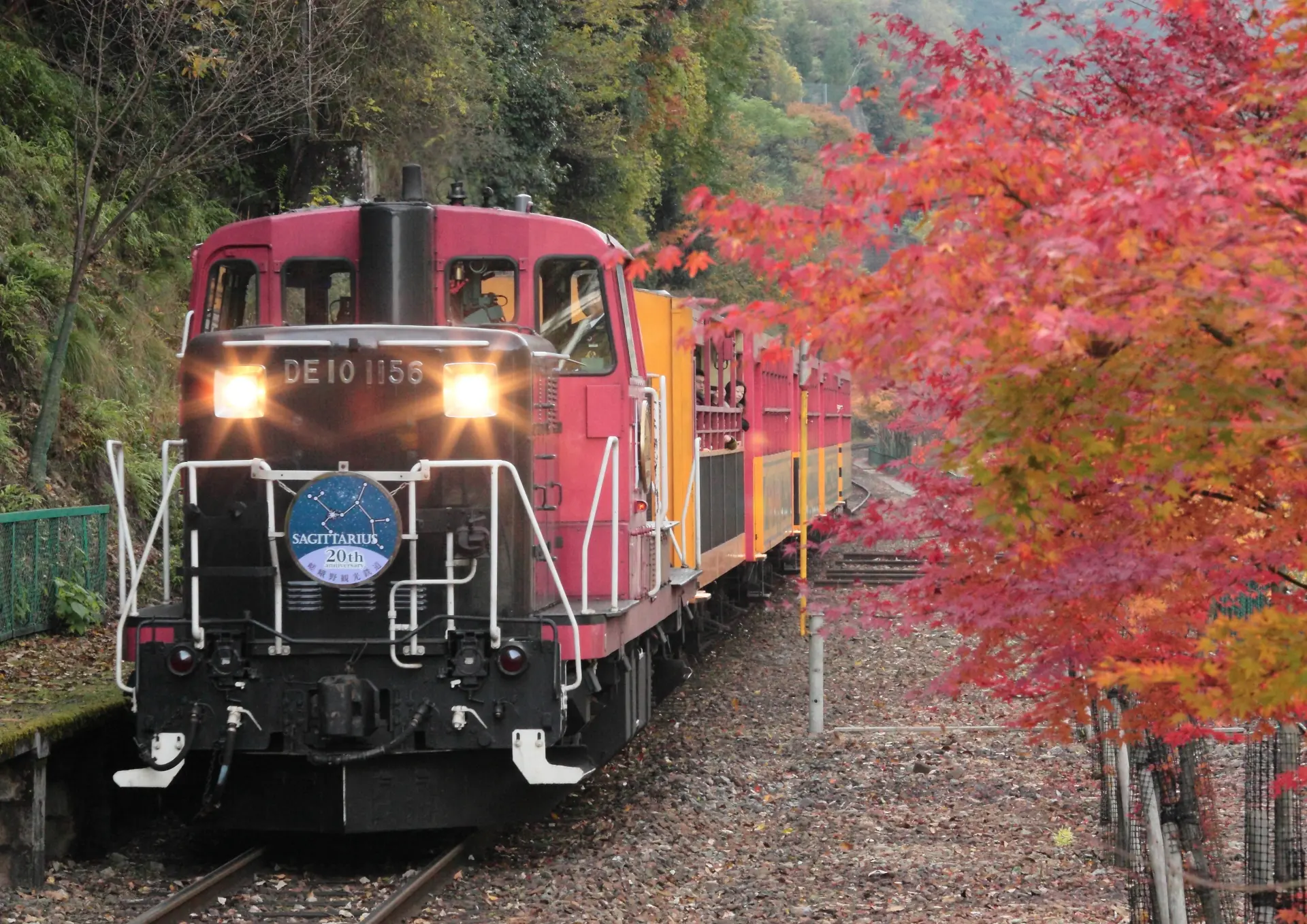 嵐山の紅葉2026|見頃とトロッコ列車の予約、混雑を避ける時間帯