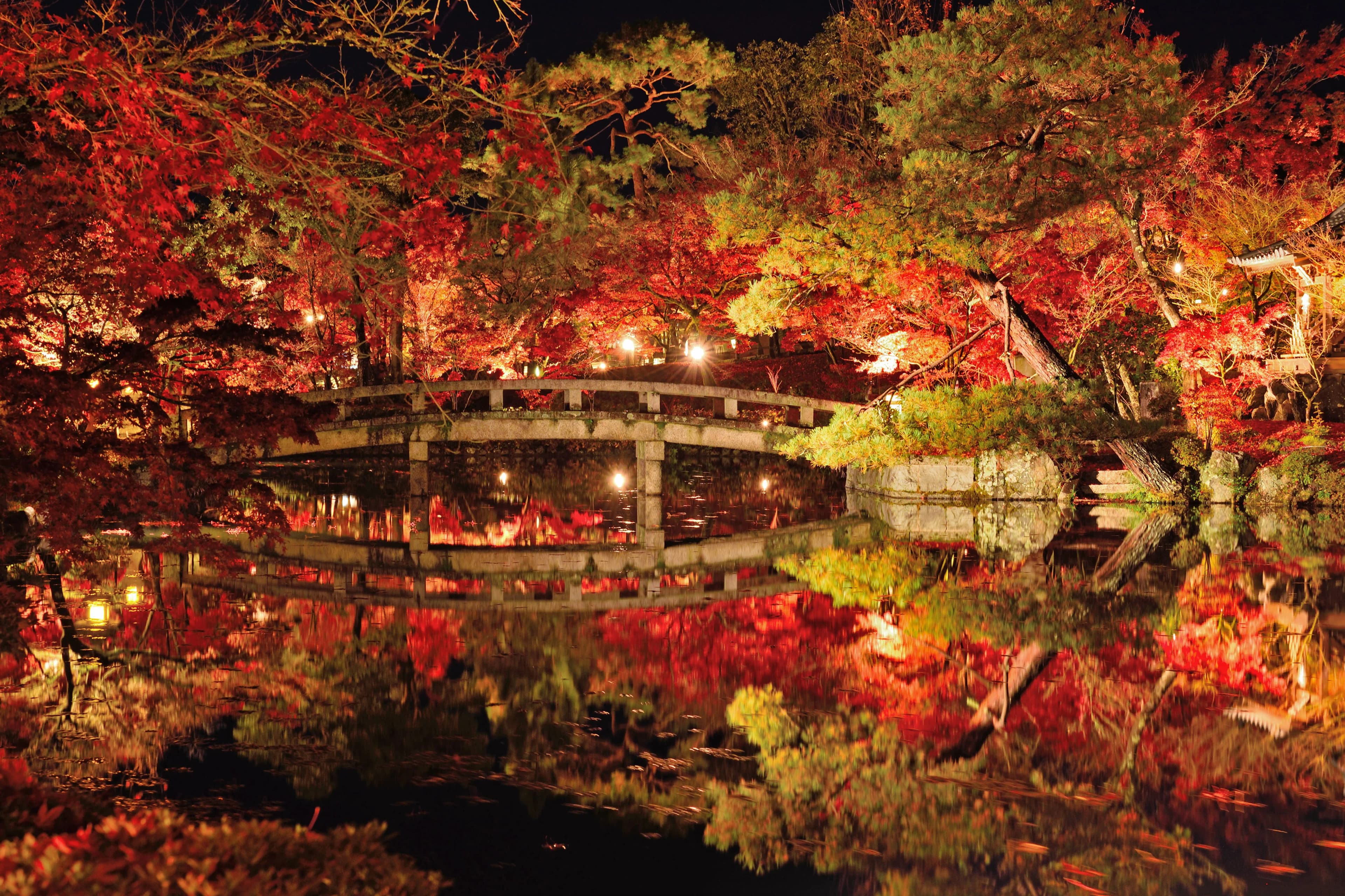 永観堂の紅葉2026|夜間ライトアップは11月20日から、拝観料と混雑を避ける時間